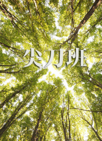 一本岛在线